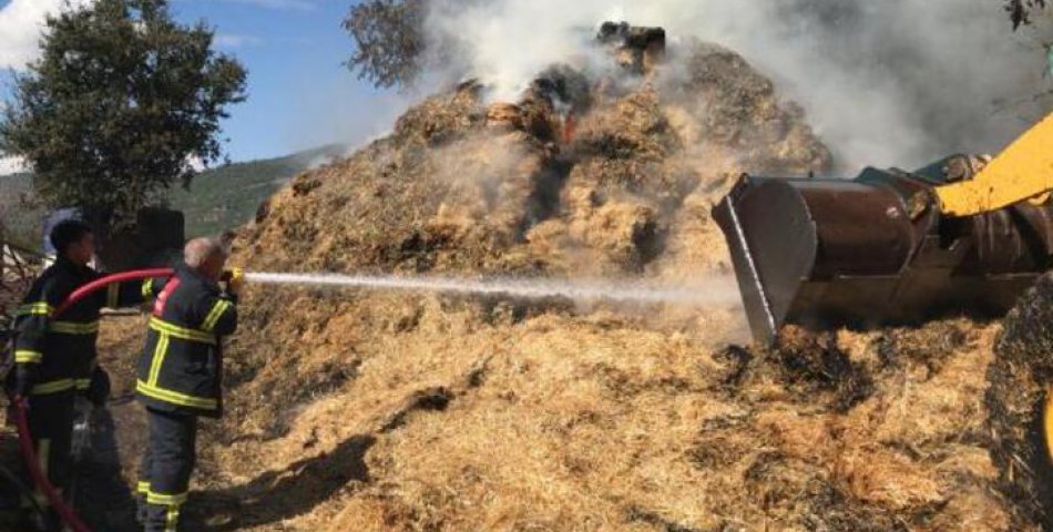 Çıkan yangında, 60 ton saman balyası kül oldu