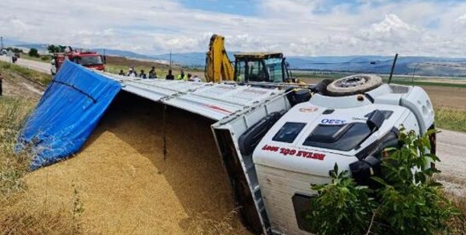 Tır Devrildi, Tonlarca Buğday Yol Kenarına Döküldü