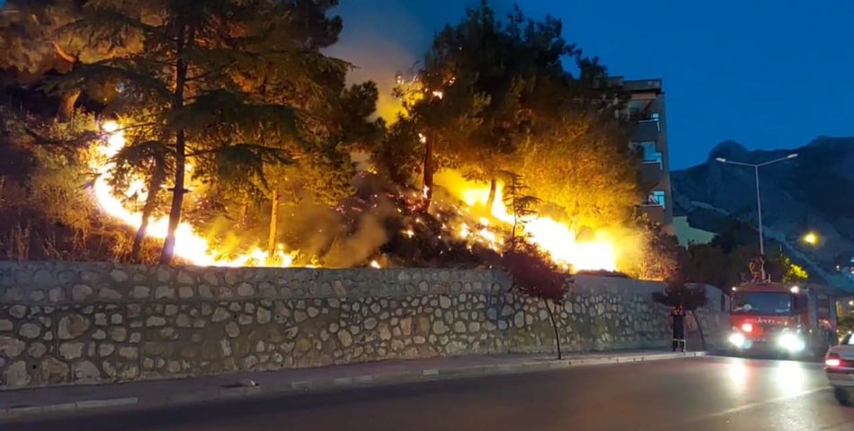 Amasya’da ormanlık alanda çıkan yangın söndürüldü