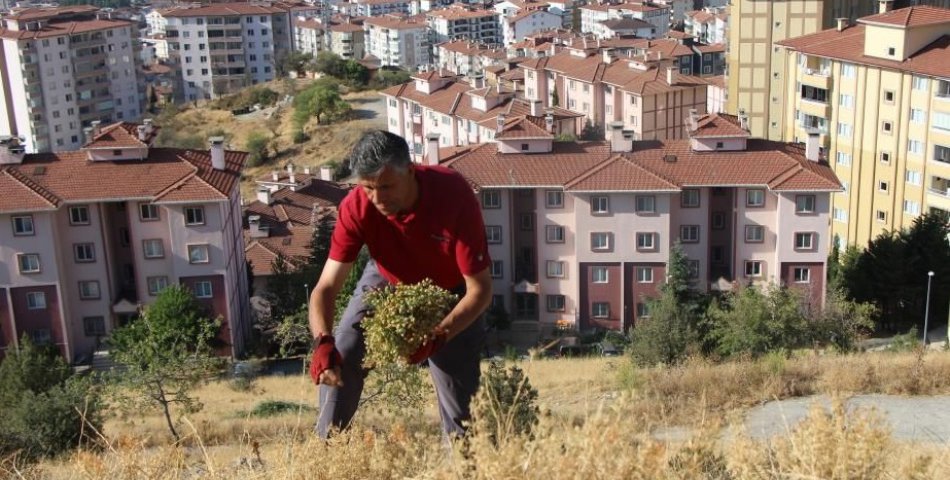 Buketini 100 TL’den satıyor