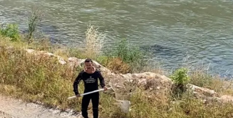 Yeşilırmak’ta mahsur kalan kanadı kırık kuş, itfaiye tarafından kurtarıldı