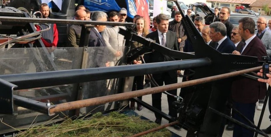 Kenevir hasadı başladı