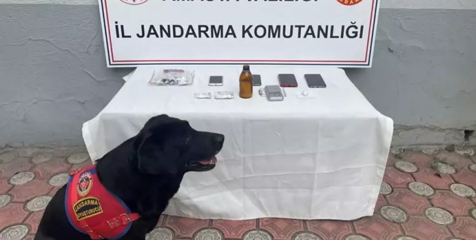Uyuşturucu operasyonu: 1 tutuklama