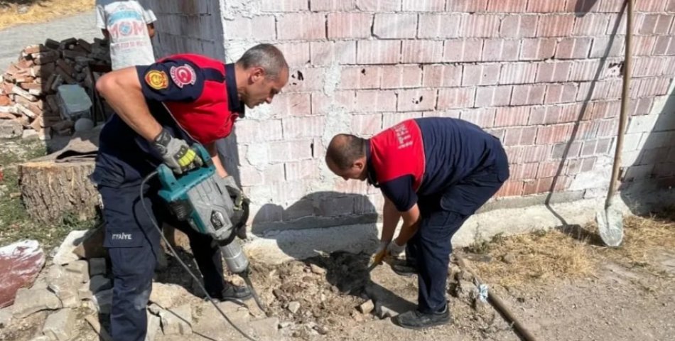 Yavru köpekler 4 saatlik operasyonla kurtarıldı