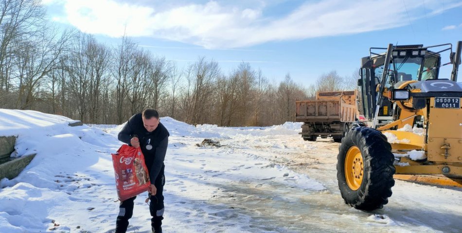 Yolları açtılar, doğaya yem bıraktılar