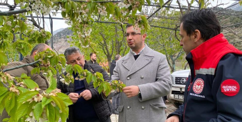 Uzun, zirai dondan hasar gören tarım arazilerini inceledi
